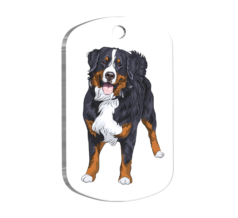 Bernese Mountain Resimli Köpek Künyesi Small 2 x 3,5 cm