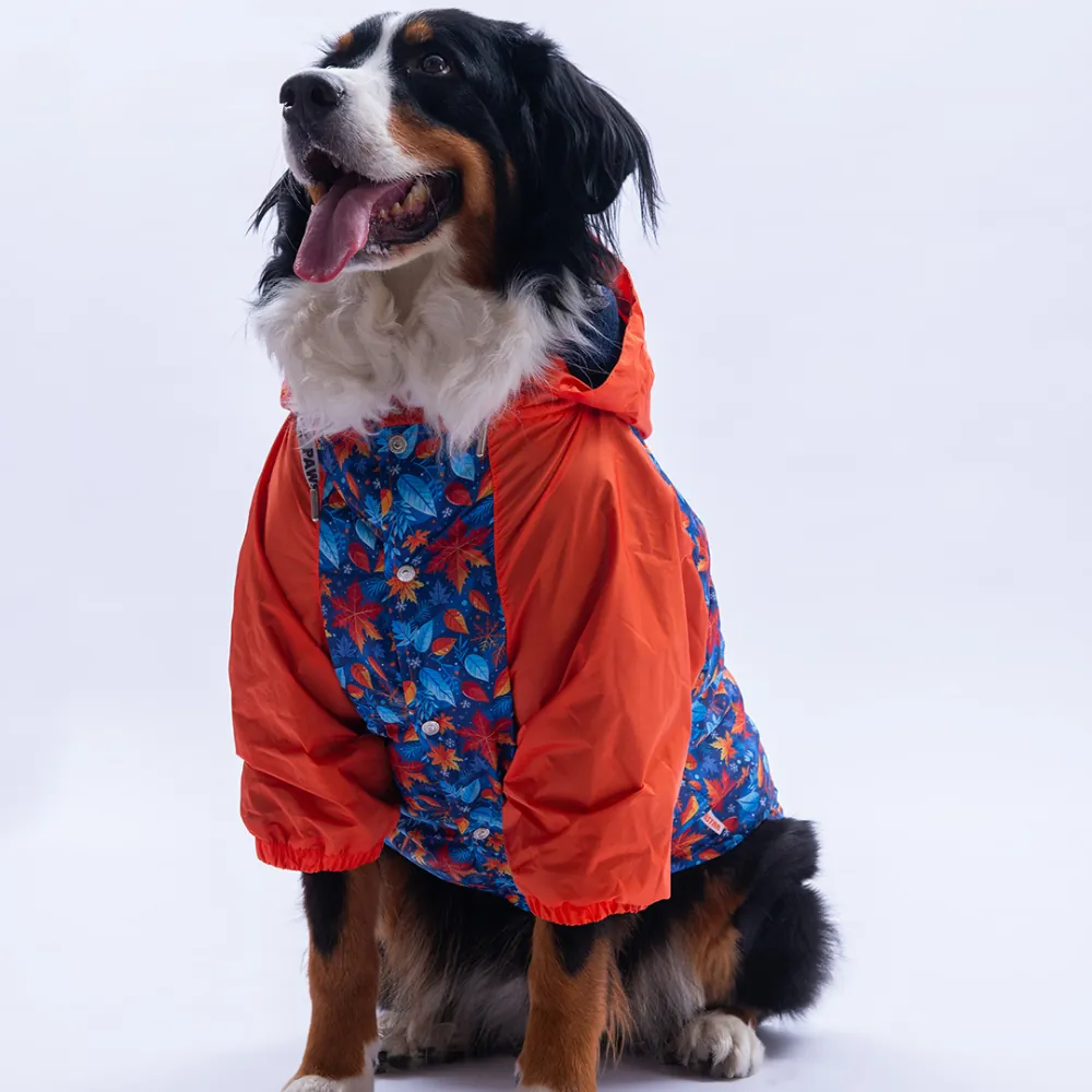 PawStar Amsterdam Fall Büyük Irk Yağmurluk