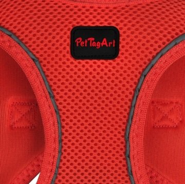 PetTagArt  Airmesh Somon Rengi Göğüs Tasması