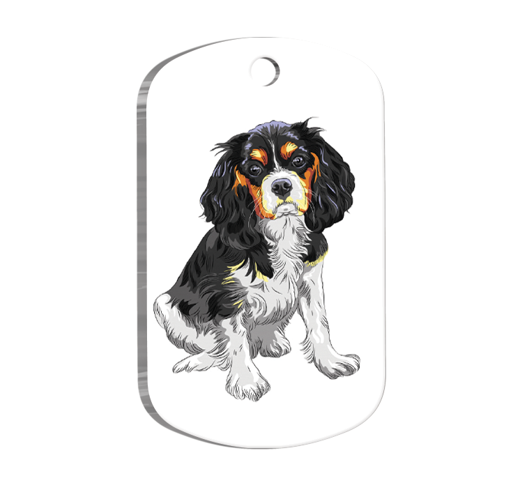 Cavalier Charles 2 Resimli Köpek Künyesi Large 2,9 x 5 cm