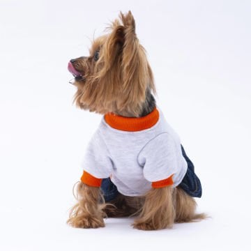 PawStar Gri Santa Rosa Elbise