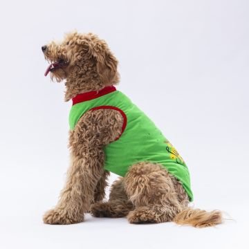 PawStar Yeşil Summer Büyük Irk T-Shirt