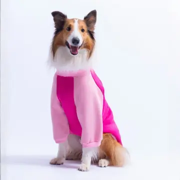 PawStar 26786 Fuşya Boston Pawstar Büyük Irk Sweat