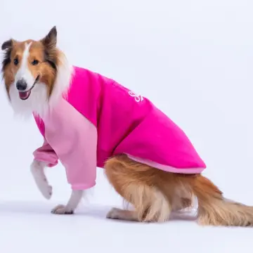 PawStar 26786 Fuşya Boston Pawstar Büyük Irk Sweat