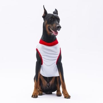 PawStar Gri Summer Büyük Irk T-Shirt