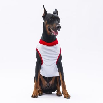 PawStar Gri Summer Büyük Irk T-Shirt