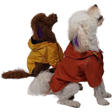 PawStar Turuncu Pluvia Küçük ve Orta Irk Yağmurluk