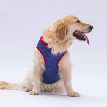 PawStar Lacivert Summer Büyük Irk T-Shirt