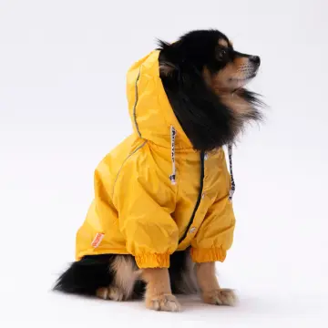 PawStar Sarı Pluvia Küçük ve Orta Irk Yağmurluk