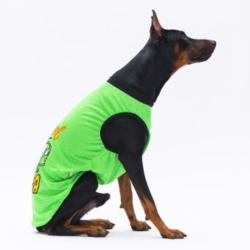 PawStar Yeşil Travel Büyük Irk T-Shirt