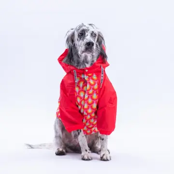 PawStar 25555 Lisbon Sunset Büyük Irk Yağmurluk