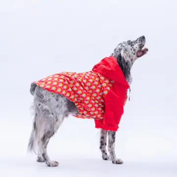 PawStar 25555 Lisbon Sunset Büyük Irk Yağmurluk