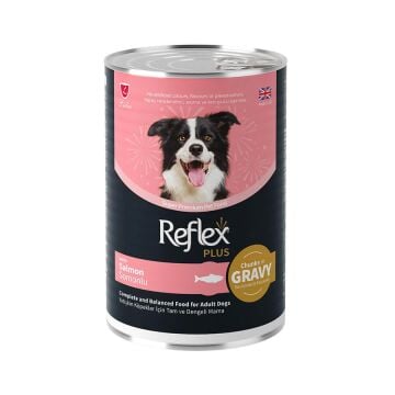 Reflex Plus Jöle İçinde Parça Etli Somonlu Yetişkin Köpek  Konservesi 400 gr