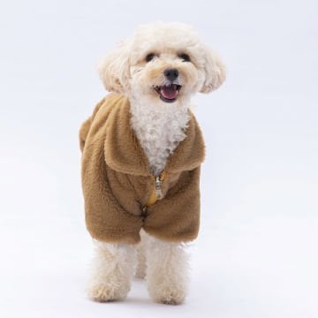 PawStar Kahverengi Paris Ceket Küçük ve Orta Irk Ceket