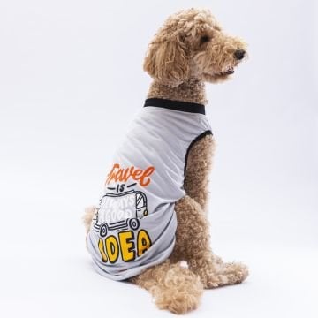 PawStar Gri Travel Büyük Irk T-Shirt