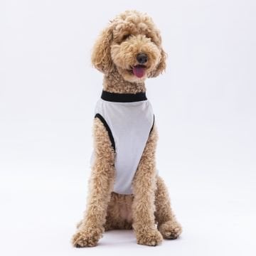 PawStar Gri Travel Büyük Irk T-Shirt