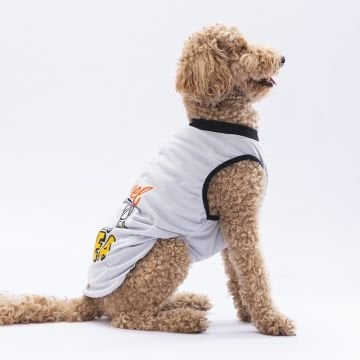 PawStar Gri Travel Büyük Irk T-Shirt