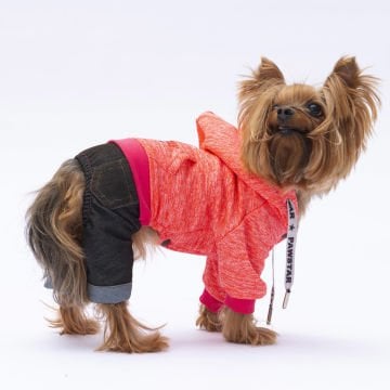 PawStar Pembe New York Tulum