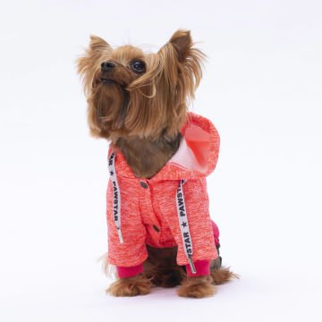 PawStar Pembe New York Tulum