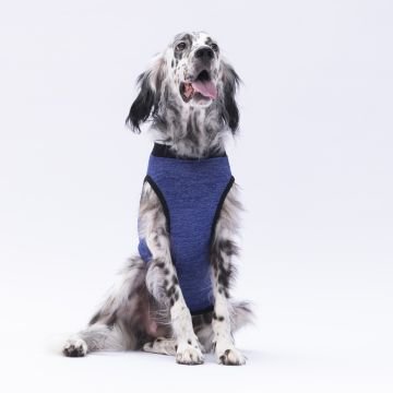PawStar Lacivert Travel Büyük Irk T-Shirt