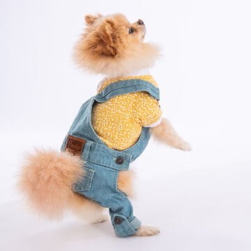 PawStar Mavi 2'li Denim Salopet Küçük ve Orta Irk Tulum