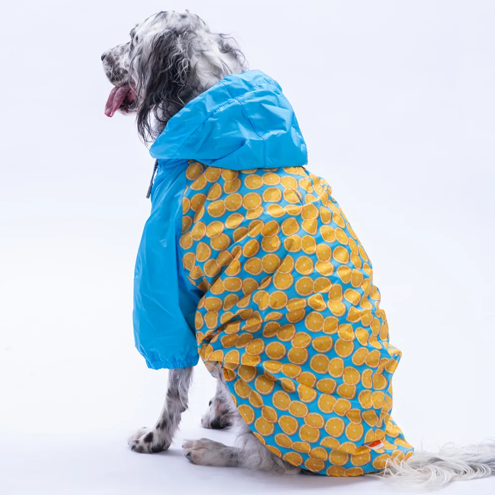 PawStar 25552 Nice Citrus Büyük Irk Yağmurluk