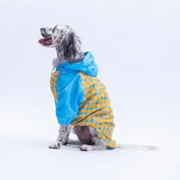 PawStar 25552 Nice Citrus Büyük Irk Yağmurluk