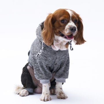 PawStar Siyah New York Tulum