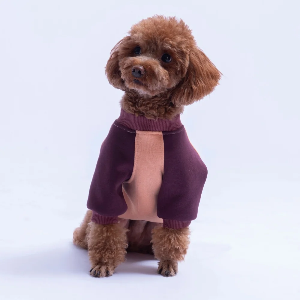 PawStar 26774 Somon Boston Pawstar Sweat