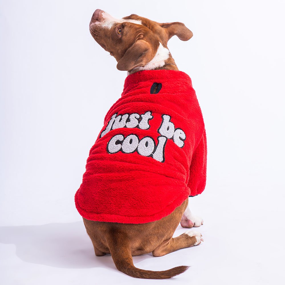 PawStar Kırmızı Just Be Cool Büyük Irk Sweat