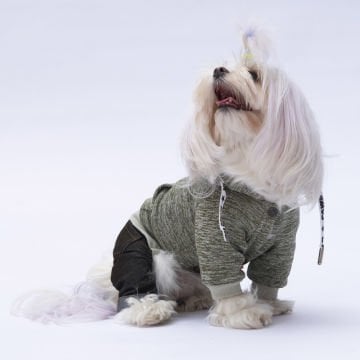 PawStar Yeşil New York Tulum