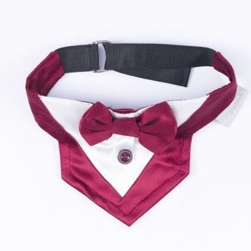 PawStar Bordo Smokin Fular