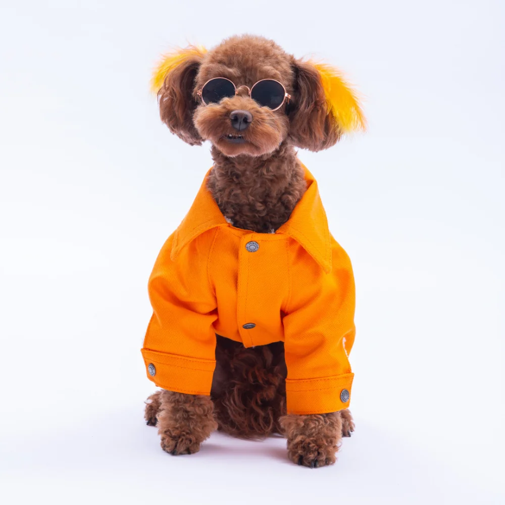 PawStar 25211-Turuncu Cancun Pop Ceket