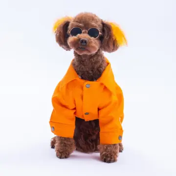 PawStar 25211-Turuncu Cancun Pop Ceket