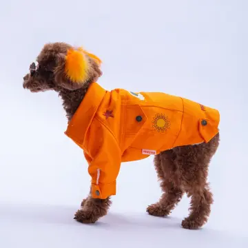 PawStar 25211-Turuncu Cancun Pop Ceket