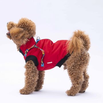 PawStar  Kırmızı Nuuk Kolsuz Yelek Yağmurluk Küçük ve Orta Irk