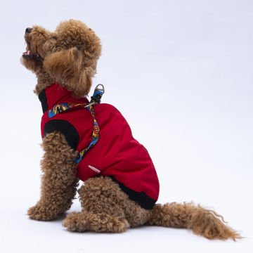 PawStar  Kırmızı Nuuk Kolsuz Yelek Yağmurluk Küçük ve Orta Irk