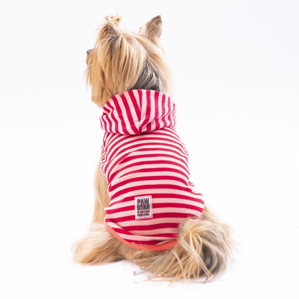 PawStar Bordo Sunny Kapşonlu T-Shirt