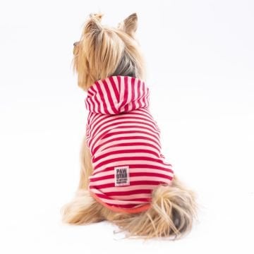 PawStar Bordo Sunny Kapşonlu T-Shirt