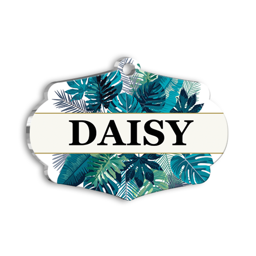 Amazon Yapraklı Kedi Köpek İsimlik Large 4,7 x 3,38 cm