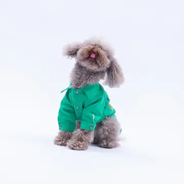 PawStar 25212-Yeşil  Cancun Pop Ceket