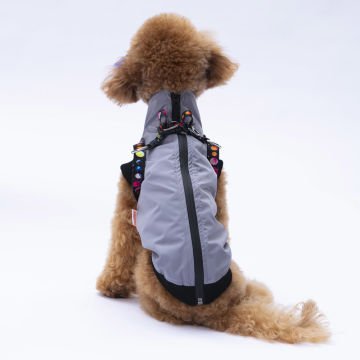 PawStar  Gri Nuuk Kolsuz Yelek Yağmurluk Küçük ve Orta Irk