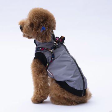 PawStar  Gri Nuuk Kolsuz Yelek Yağmurluk Küçük ve Orta Irk