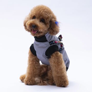 PawStar  Gri Nuuk Kolsuz Yelek Yağmurluk Küçük ve Orta Irk