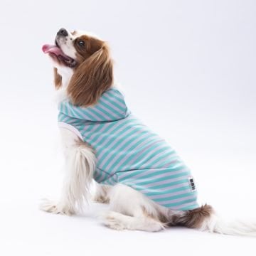 PawStar Aqua Sunny Kapşonlu T-Shirt