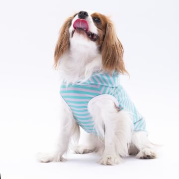 PawStar Aqua Sunny Kapşonlu T-Shirt