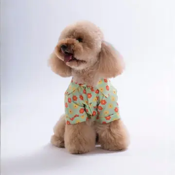 PawStar 26405 Florelle Desenli Gömlek