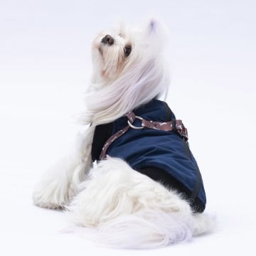 PawStar  Gri Lacivert Nuuk Kolsuz Yelek Yağmurluk Küçük ve Orta Irk