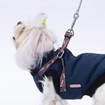 PawStar  Gri Lacivert Nuuk Kolsuz Yelek Yağmurluk Küçük ve Orta Irk