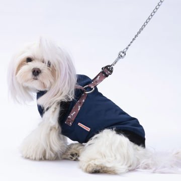 PawStar  Gri Lacivert Nuuk Kolsuz Yelek Yağmurluk Küçük ve Orta Irk